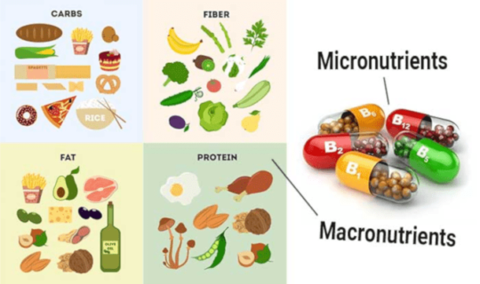 MACRONUTRIENTS and MICRONUTRIENTS क्या होते हैं ?