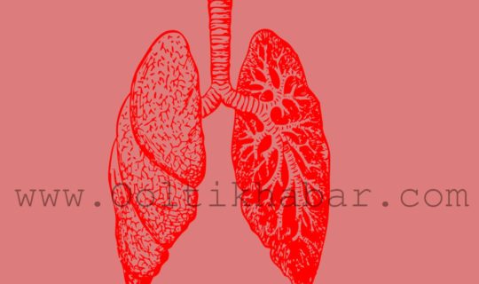 फेफड़ों को स्वस्थ रखेंगे ये घरेलू नुस्खे
