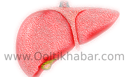 Fatty Liver जैसी बीमारी को घर पर ठीक करने के घरेलु नुस्खे