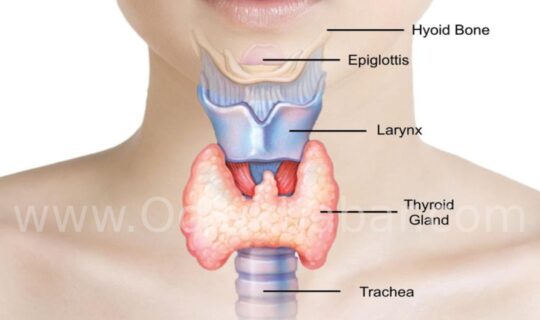 Thyroid से बचने के घरेलू उपाय