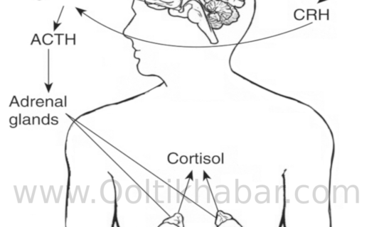 Gland (गिल्टी)को ठीक करने के घरेलू उपाय