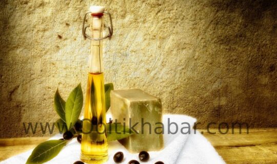 जैतून के तेल के लाभ (Benefits of Olive Oil)