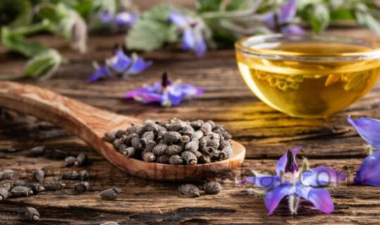 कैंसर और सामान्य सर्दी से लड़ने के लिए Borage Seed Oil के फायदे